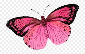 We did not find results for: Butterfly Clipart Photo By Purple Butterfly Tattoo Designs Free Transparent Png Clipart Images Download