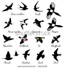 Bird In Hand Half Marathon 2019 Pin On Tatoveringsmonster