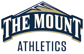 Mount St. Marys University — Jungle, Inc. | Screen Printing | Embroidery |  Promotional Products & Apparel | Team Gear & Equipment | Custom Bags