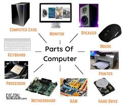 Learn how to draw a computer mouse with these easy to follow steps. Parts Of Computer With Pictures Computer Components