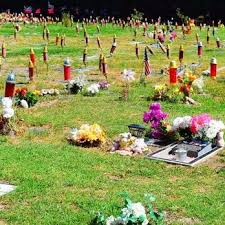 How much pet cremation should cost. Pet Haven Cemetery Crematory 90 Photos 76 Reviews Pet Cremation Services 18300 S Figueroa St Gardena Ca Phone Number