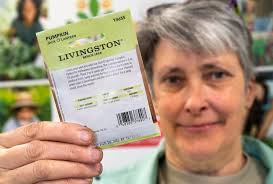 How to grow a beautiful pumpkin, with advice from a master gardener