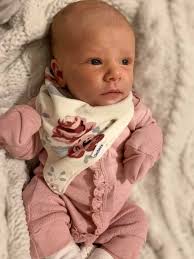 Just put together this baby today!