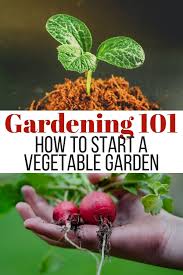 In the current coronavirus crisis the national garden scheme and its garden owners are working together to share with the beauty of starting a garden from scratch is that you can get it exactly how you want it in the end except there are many choices to be made along. How To Start A Vegetable Garden From Scratch