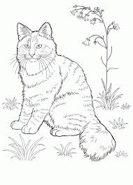 These puppy coloring pages printable are extremely cute and adorable. Cat Coloring Pages For Adults Best Coloring Pages For Kids Cat Coloring Page Cat Coloring Animal Coloring Pages