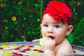 Amanda Schell Photography