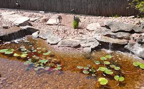 This project was built over a year ago. How To Build Concrete Garden Fish Ponds Outside Step By Step