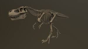 Skeletons A 3d Model Collection By Divedave Divedave Sketchfab En 2020