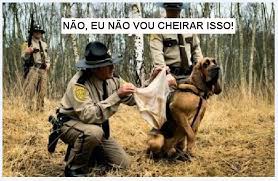 Resultado de imagem para cueca engraçada