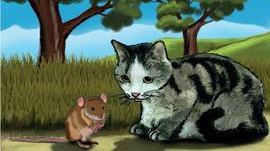 Kedi Ile Fare Dinleme Izleme Metni Etkinlik Cevaplari Youtube