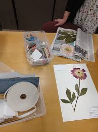 Curatorial assistant Sarah...