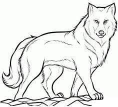 Image Result For How To Draw A Wolf Face Cizimler Hayvan Cizim