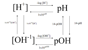 Is the solution acidic, basic, or neutral? Pin Di Studies