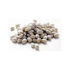100g di fagioli cannellini secchi apportano circa 279.00 calorie. Fagioli Cannellini Secchi Koriandrum