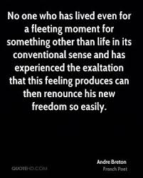 Quotes About Fleeting Moments 31 Quotes