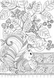 You'll also like these coloring pages of the gallery flowers and vegetation. Fall Coloring Pages For Adults Best Coloring Pages For Kids