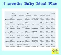 7 months old baby food chart bedowntowndaytona com