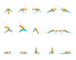 Gentle yoga includes poses that flow in a structured way without any excess strain to the stretched muscles or joints. Hatha Yoga Sequences Foundational Sequences For Yoga Teachers Tummee Com