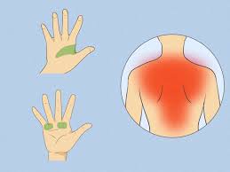Obviously a tension point for many clients coming to us for massage therapy. How To Relieve Back Pain Through Reflexology 8 Steps