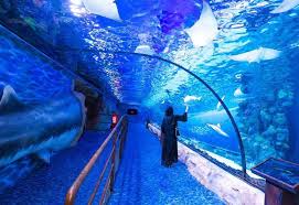 Aquarium Dubai Mall Dubai Aquarium Orlando Travel Dubai Mall