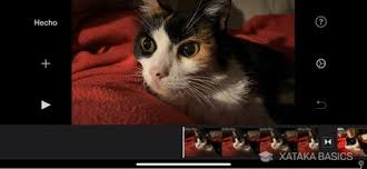 Para hacer el video debemos antes que nada abrir la app para hacer videos con fotos y música, en tal caso de que aparezca algún anuncio lo cerramos y nos dirigimos a la pestaña que se encuentra en la parte central de la pantalla, llamada 'photo video', inmediatamente nos llevara a la galería con todas las imágenes que tenemos actualmente en nuestro dispositivo. 21 Programas Gratis Para Hacer Videos Con Fotos Y Musica