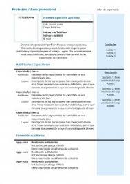 Modelo de currículum vitae en español. Curriculum Vitae En Pdf Cv En Pdf