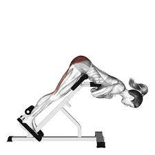 Adapté pour un usage intensif de 8 heures grâce à son confort et sa qualité. Les Exercices Pour Les Lombaires Gainage Good Morning Extensions