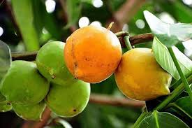 Setelah semua huruf mempunyai angka numerik, anda bisa mulai mengubah huruf dalam nama menjadi angka. Buah Buahan Indonesia Yang Jarang Diketahui Namanya