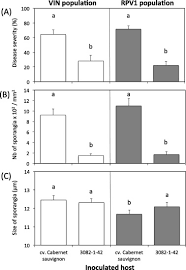 Agence de location de voiture à villefranche sur saone. Rapid And Multiregional Adaptation To Host Partial Resistance In A Plant Pathogenic Oomycete Evidence From European Populations Of Plasmopara Viticola The Causal Agent Of Grapevine Downy Mildew Sciencedirect
