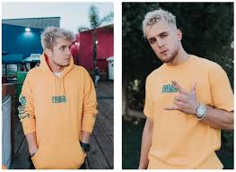 Want to know what jake paul net worth is? Jake Paul Net Worth From Scandals To Dollars Neoreach Blog