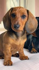 Look what i found 😯 can't wait to hear your feedbacks 🥰