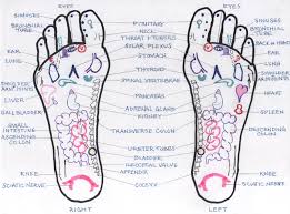 71 organized ear reflexology chart download