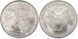 Image result for Arctic Silver 2006 1 Series