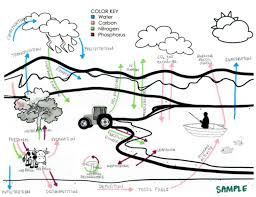 Teaching Resources For The Biogeochemical Cycles Welcome To Science Lessons That Rock Teaching Resources Teaching Science Lessons