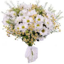 Este sezonul florilor viu colorate si frumos mirositoare. Flori De Primavara Buchete De Flori De Primavara ChiÈinÄu Èi Moldova