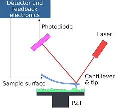 It is a single award qualification, earning one grade. Atomic Force Microscopy Wikipedia