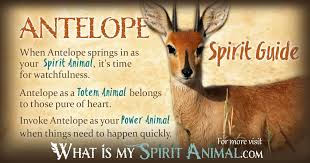 Antelope Symbolism Meaning Spirit Totem Power Animal Spirit Animal Totem Power Animal Spirit Animal Meaning