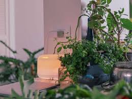 We did not find results for: Luftreiniger Und Corona Das Musst Du Jetzt Wissen Tink