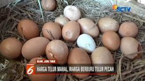 Bukan menjadi rahasia lagi telur ayam negeri adalah lauk sumber protein hewani andalan bagi sebagian besar masyarakat indonesia yang berasal dari berbagai kalangan. Berita Telur Mahal Hari Ini Kabar Terbaru Terkini Liputan6 Com