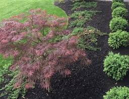 Jackson lawncare is a columbus ohio based company that provides landscaping and snow removal services to customers in the central ohio area. The 10 Best Lawn Care Services In Columbus Oh With Free Estimates