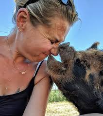 Kunekune boar ribs taste comparison