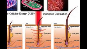 If you suffer from hair loss, some products worth checking out include women's rogaine 5% minoxidil foam for hair thinning and lossand men's rogaine 5% minoxidil foam for hair loss and hair regrowth. How To Stop Hair Loss And Regrow Thinning Hair Youtube