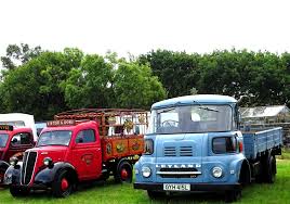 Image result for Persian Blue 1972 BMC