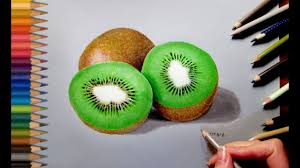 Choose your favorite fruit drawings from millions of available designs. Drawing Realistic Kiwi In Colored Pencil Jasmina Susak Youtube