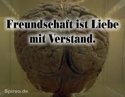 Wurdet Ihr Diesen Spruch So Interpretieren Dass Freundschaft Die Mischung Zwischen Einer Beziehung Liebe Und Zuneigung Ist Verstand