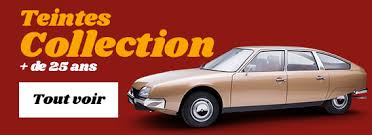 Image result for Brun Guaranja 2011 Citroen