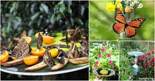 Kit includes caterpillars, habitat & everything you need to raise your own caterpillars! 10 Diy Butterfly Feeders That Will Add Beauty And Butterflies To Your Garden Diy Crafts