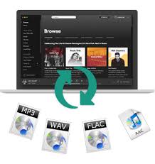 Pin By Fan Leo On Projects To Try Spotify Audio Converter