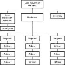 Loss Prevention Officer - An Overview | Sciencedirect Topics