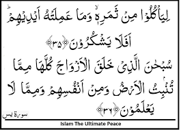 Surah Yasin Verses 35 36 Verses Islamic Quotes Islam